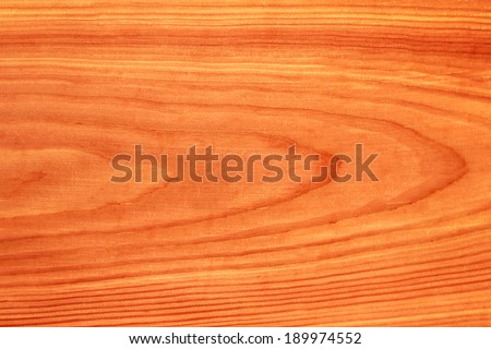 Douglas fir wooden massive beam - beautiful naturally red colored