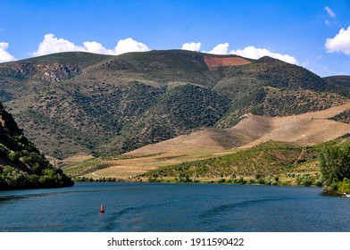 Douro DOC, Douro River, North Of Portugal