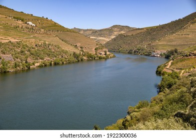 Douro DOC, Douro River, North Of Portugal