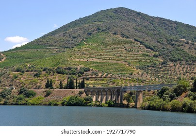 Douro DOC, Douro River, North Of Portugal