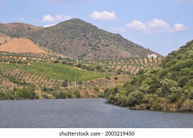 Douro DOC, Douro River, North Of Portugal