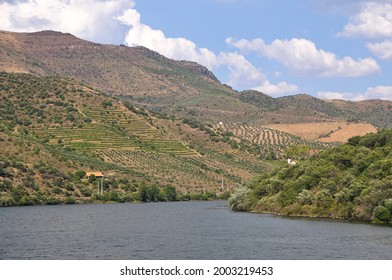 Douro DOC, Douro River, North Of Portugal