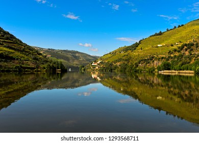 The Douro River near Pinhao, Douro Valley, Portugal