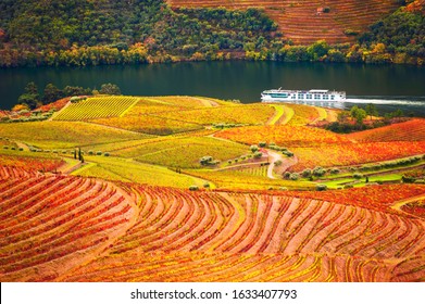 Douro river valley with vineyards in Portugal. Portuguese wine region. Beautiful autumn landscape