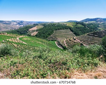 Douro valey, the internationally recognized wine-producing region