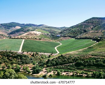 Douro valey, the internationally recognized wine-producing region