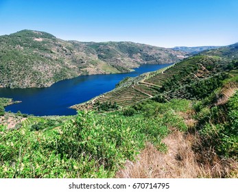 Douro valey, the internationally recognized wine-producing region