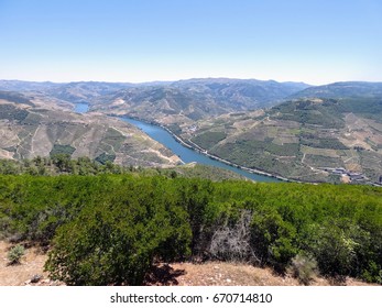 Douro valey, the internationally recognized wine-producing region
