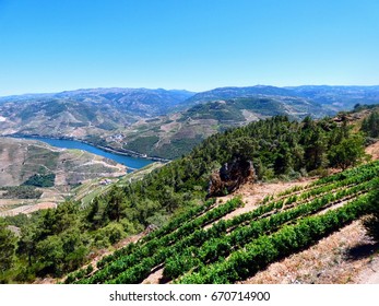 Douro valey, the internationally recognized wine-producing region
