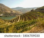 Douro Valey in Portugal with winery and vineyards landscape. Travel and Tourism