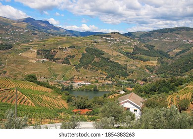 The Douro valley and its famous terraced vines