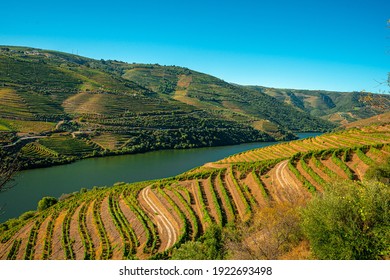 Douro Valley, Portugal- August 2020: Panoramic view of the Douro Valley with the Douro River near Porto. In this wine region are collected the grapes for Porto wine.