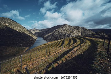 douro valley Portugal  São João da Pesqueira - Shutterstock ID 1675284355