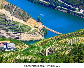 Douro Vineyards, North Of Portugal