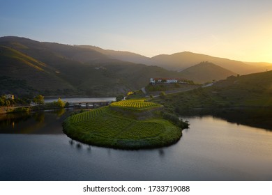 Douro Wine Valley Region S Shape Bend River In Quinta Do Tedo At Sunset, In Portugal