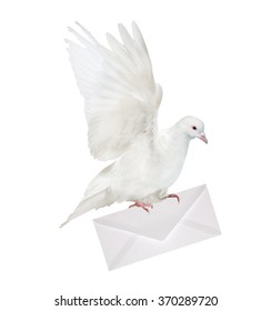 6,813 Dove mail Images, Stock Photos & Vectors | Shutterstock