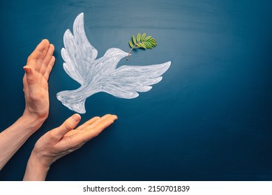 Dove of peace concept. Symbol of freedom and international day of peace. Hands let out chalk painted dove with olive branch - Shutterstock ID 2150701839