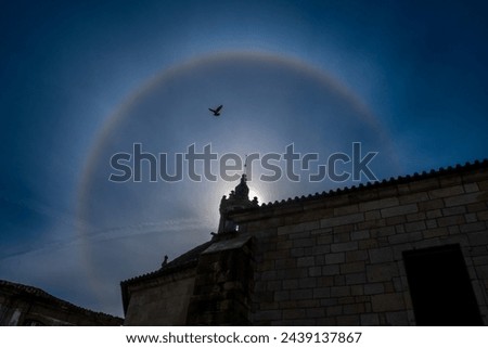 A dove is rising in a solar halo backgoung