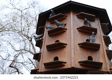 Dovecote in the Park of Würzburg, Bavaria, Germany. Gray doves are sitting on the shelves of pigeon house. Spring sky on the background. Copy Space