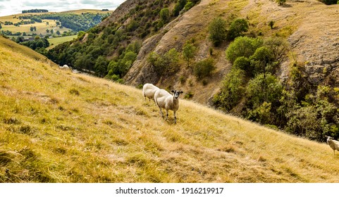 Dovedale Is A Valley In The Peak District Of England