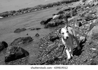 Dover Point Dover NH