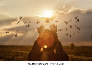 Tauben fliegen in die Hände der Frau auf dem Hintergrund eines sonnigen Sonnenuntergangs während des Gebets.