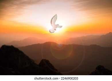 Doves fly in the sky. Christians have faith in Holy Spirit. silhouette worship to god with love Faith, Spirit and jesus christ. Christian praying for peace. Concept of worship in Christianity.