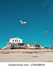 Doves In Southport Beach In North Carolina