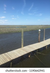 Down by the Bay