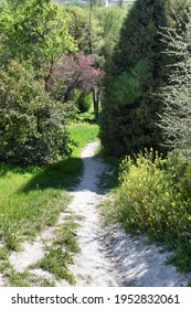 Down To The Duke's Orchard, Steep Hiking Trail Next To Cuellar Castle, Segovia