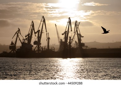 down in the harbor