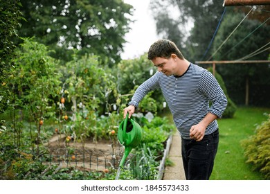 Down syndrome adult man watering plants outdoors in vegetable garden, gardening concept.
