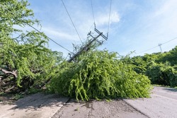 Downed Power Pole After Hurricane Passes Through