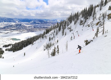 Downhill Alpine Skiing In Jackson Hole, Wyoming