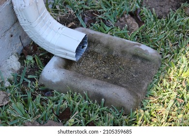 Downspout emptying rain water  into a splash block, concrete splash block on grass for drain spout