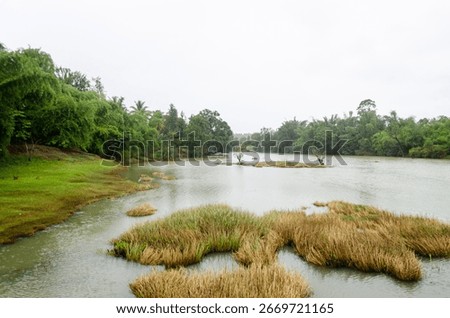 Downstream of Harangi Dam - the Harangi river located in Kushalnagar, Karnataka, India