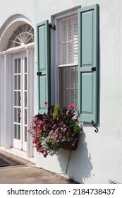 Downtown Charleston Window Box Flowers