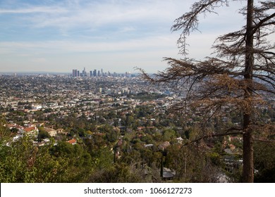 Downtown LA Distant View