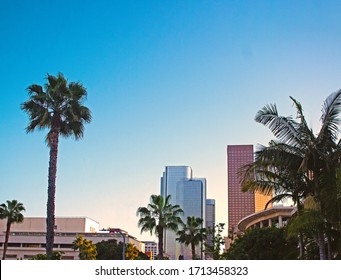 Downtown Los Angeles City View