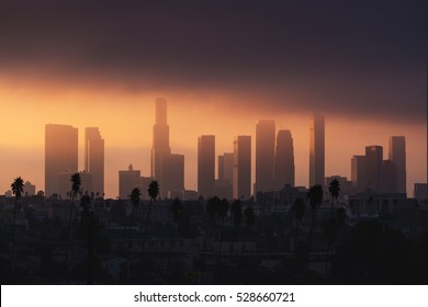 Downtown Los Angeles skyline in foggy / smog morning sunlight. Palm tree in front, skyscrapers in background. Background image. California theme.