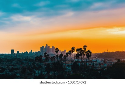 Downtown Los Angeles skyline at sunset with palm trees in the foreground