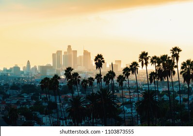 3,324 Downtown los angeles palm trees Images, Stock Photos & Vectors ...