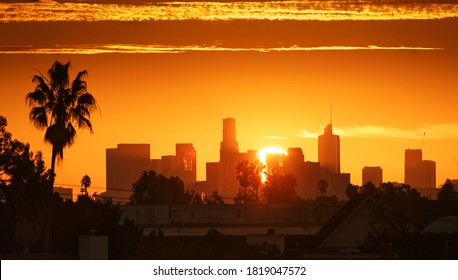 Downtown Los Angeles Sunrise over city buildings silhouettes.