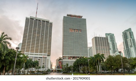 Downtown Miami Skyline After Sunset As Seen From Street Level.