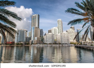 Downtown Miami skyline and buildings reflections from Brickell Key. Skyscrapers framed by palms.