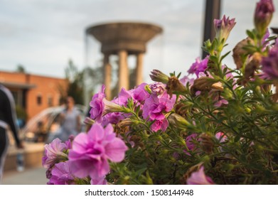 Downtown Park At Cary, NC/ USA On A Summer Day