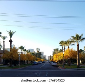 Downtown Phoenix Fall