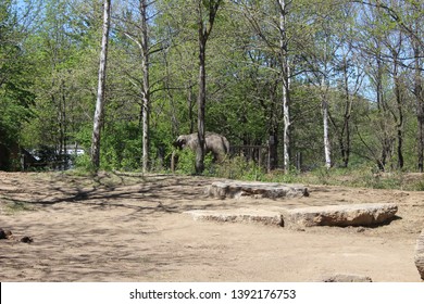 Downtown Saint Louis, Saint Louis Zoo, And Beautiful Spring Flowers