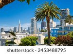 Downtown San Francisco with the Transamerica Pyramid and huge palm tree, San Francisco, California, United States of America, North America