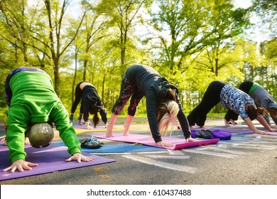 Downward Dog In Nature